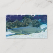 Sharks in Coral Reef Business Card (Back)