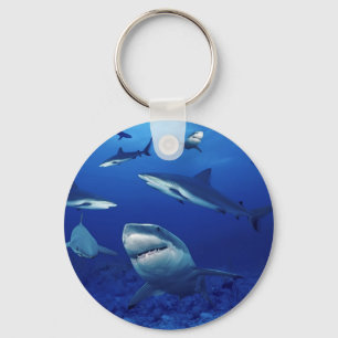 Sharks Keychain