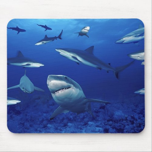 Sharks Mouse Pad