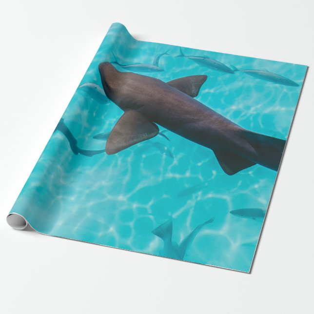 SHARKS ON BODY OF WATER WRAPPING PAPER (Unrolled)