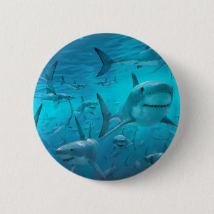 Sharks Pinback Button