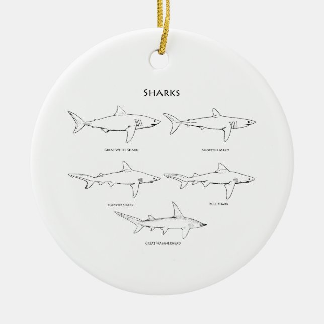 Sharks Species Logo Ceramic Ornament (Front)