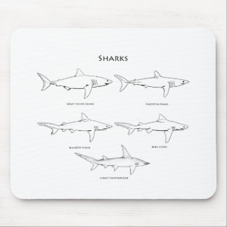 Sharks Species Logo Mouse Pad