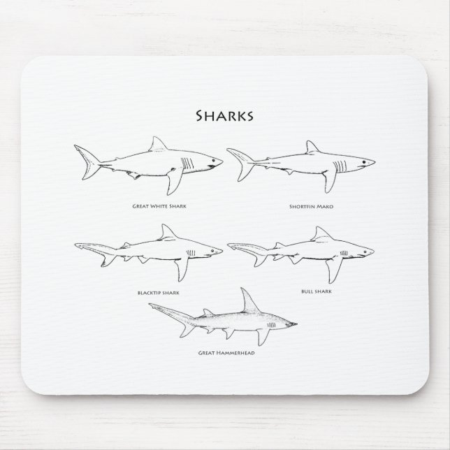Sharks Species Logo Mouse Pad (Front)