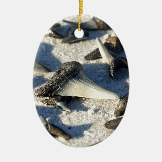 Sharks Teeth from Jax Beach Ceramic Ornament (Front)