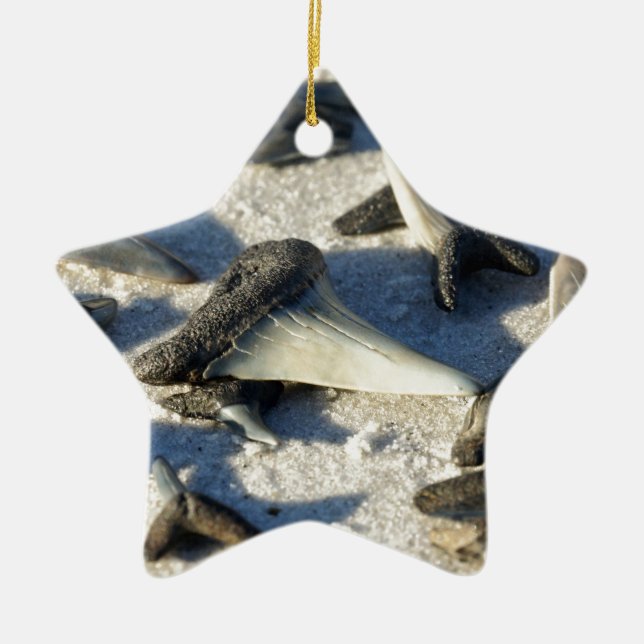 Sharks Teeth from Jax Beach Ceramic Ornament (Front)
