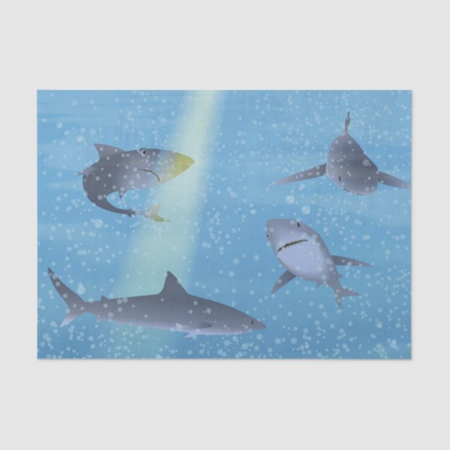 Sharks Tissue Paper (Front)