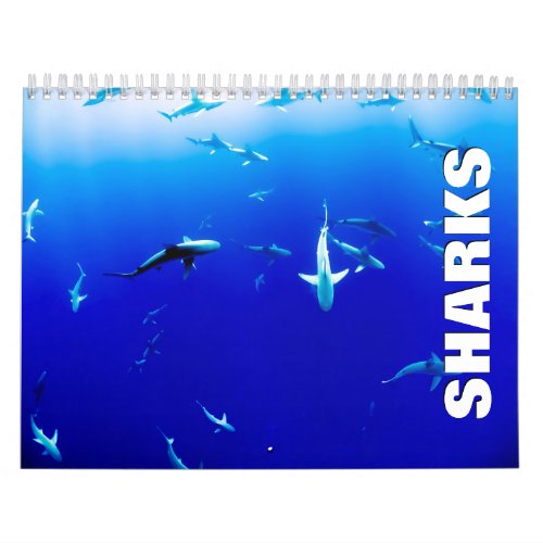 Sharks Wall Calendar