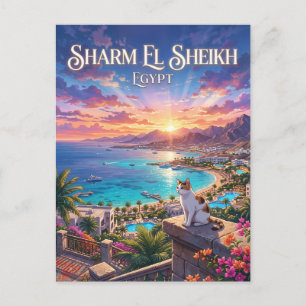 Sharm El Sheikh Egypt Postcard