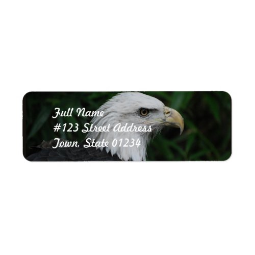 Sharp Beaked Eagle Label