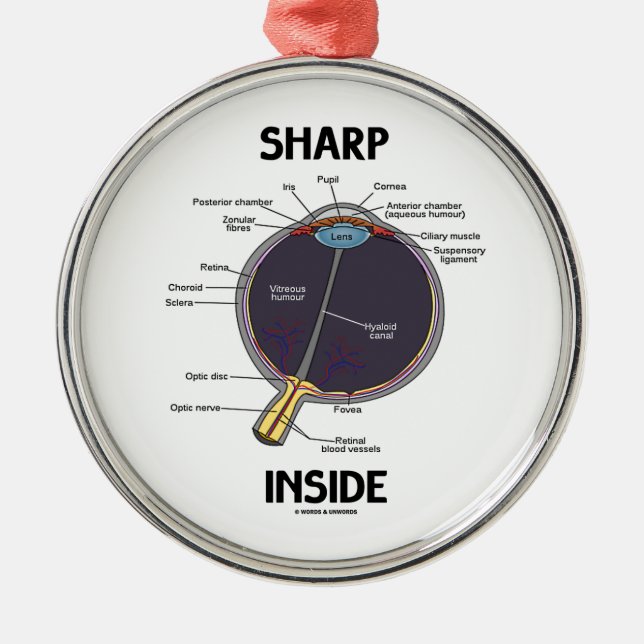 Sharp Eye (I) Inside (Anatomical Eyeball) Metal Ornament (Front)