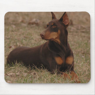 Sharp Red and Rust Female Doberman Pinscher Mouse Pad