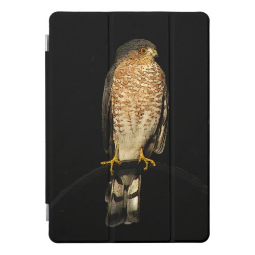 Sharp shinned Hawk 105 iPad Pro Case