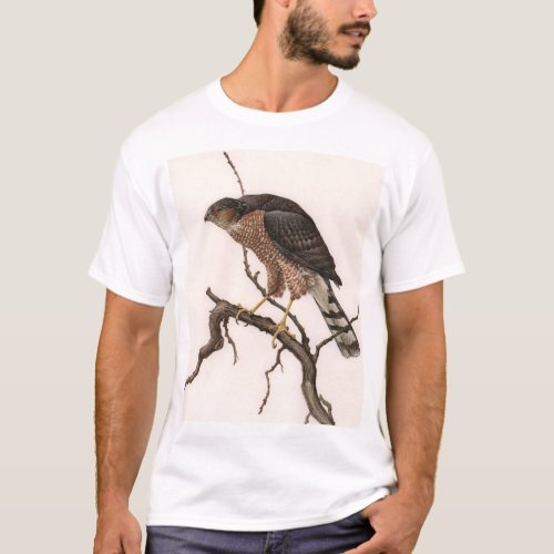 Sharp_shinned Hawk adult female T_Shirt