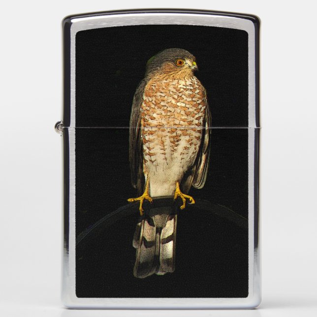 Sharp Shinned Hawk Animal Bird Zippo Lighter (Front)