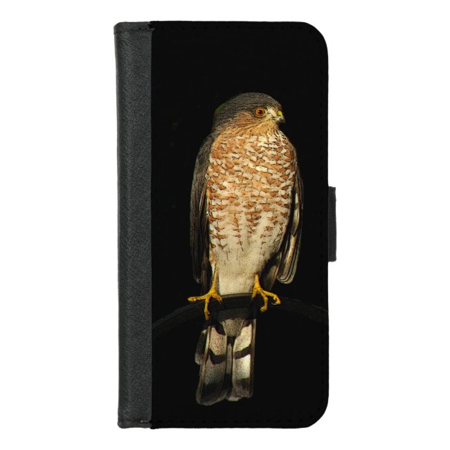 Sharp Shinned Hawk Bird iPhone 8/7 Wallet Case