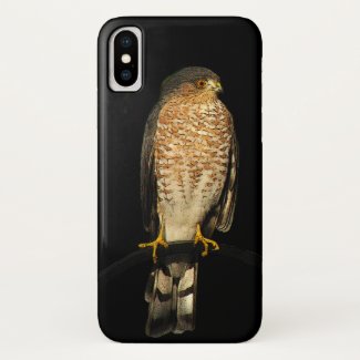 Sharp Shinned Hawk iPhone X Case