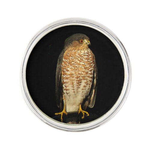 Sharp_Shinned Hawk Lapel Pin