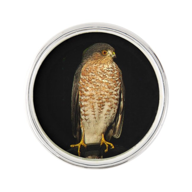 Sharp-Shinned Hawk Lapel Pin