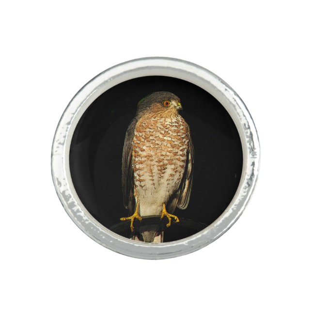Sharp-Shinned Hawk Ring (Front)