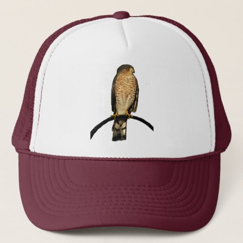 Sharp_Shinned Hawk Trucker Hat