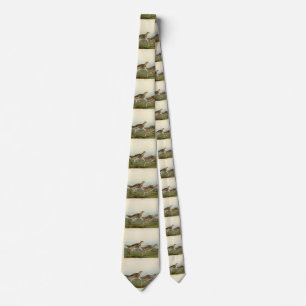 Sharp-tailed Grouse - Audubon's Birds of America Neck Tie