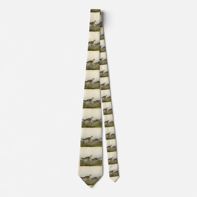 Sharp-tailed Grouse - Audubon's Birds of America Neck Tie (Front)