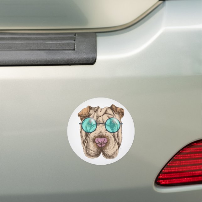 Sharpei In Sunglasses Car Magnet (In Situ)
