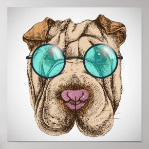 Sharpei In Sunglasses Poster
