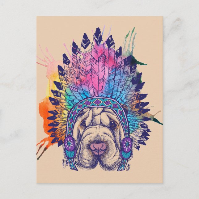 Sharpei Native American Indian Chief Postcard (Front)