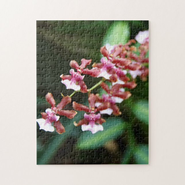 Sharry Baby Oncidium 10x14 Photo Puzzle (Vertical)