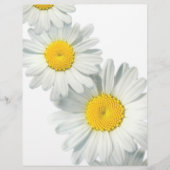 Shasta Daisies (Front)
