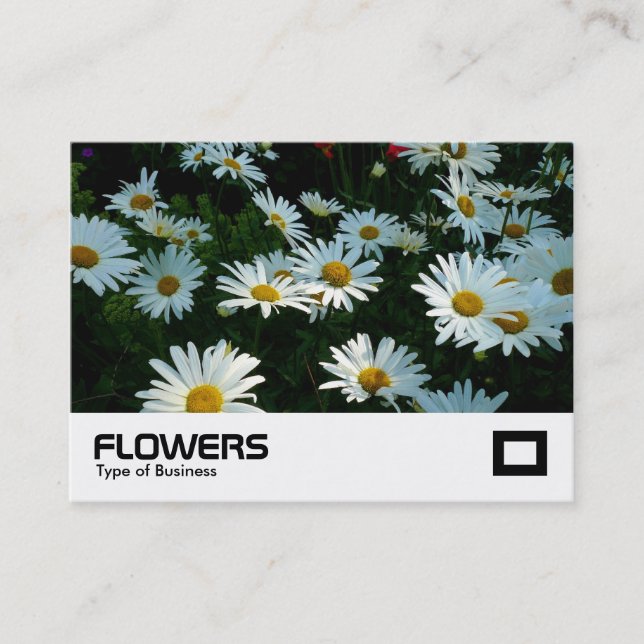 Shasta Daisies Business Card (Front)