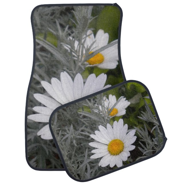 Shasta Daisies Car Mats (Set)