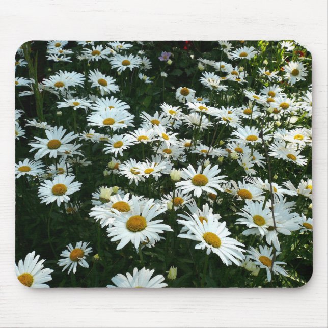 Shasta Daisies Mouse Pad (Front)