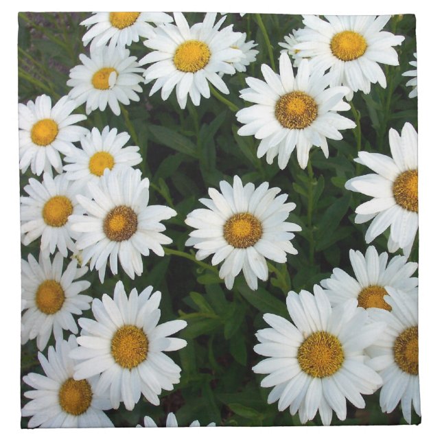 Shasta Daisies Napkin (Front)