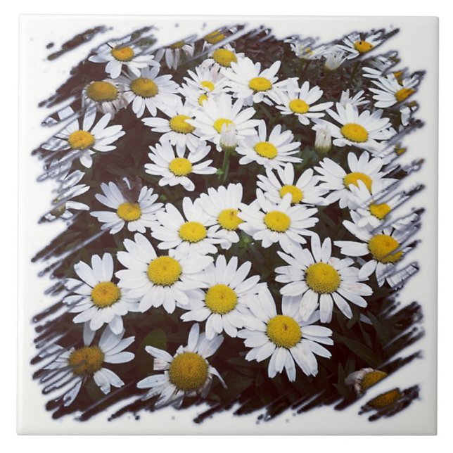 Shasta Daisies Photograph Ceramic Tile (Front)