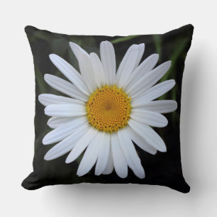 Shasta Daisy 01 Throw Pillow