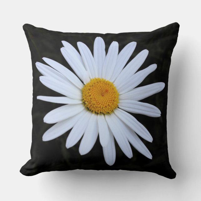 Shasta Daisy 02 Throw Pillow (Front)