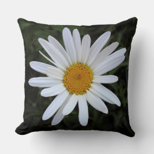 Shasta Daisy 03 Throw Pillow