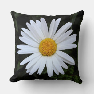 Shasta Daisy 04 Throw Pillow