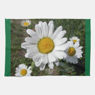 Shasta Daisy (Chrysanthemum maximum) Kitchen Towel
