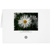 Shasta Daisy Gone Crazy Cards (Back Horizontal)