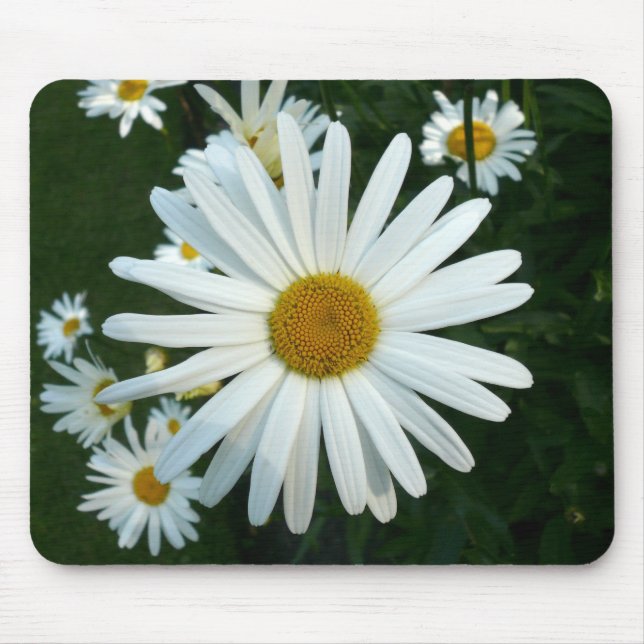 Shasta Daisy Mouse Pad (Front)