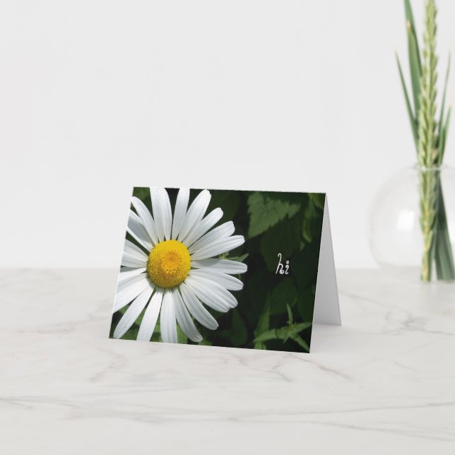 Shasta Daisy Note Cards (Front)