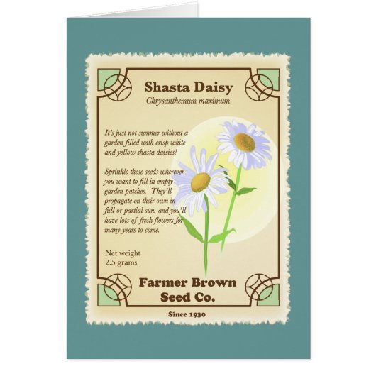Shasta Daisy Seed Packet Cards (Front)
