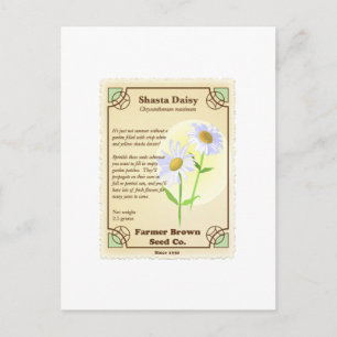 Shasta Daisy Seed Packet Postcard