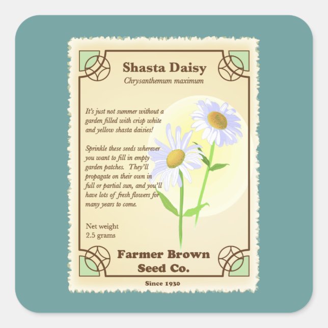 Shasta Daisy Seed Packet Square Sticker (Front)