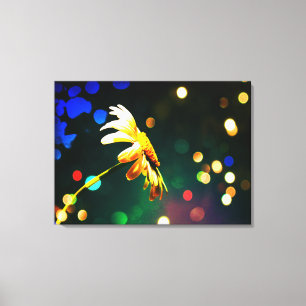 Shasta Daisy Sparkle Wrapped Canvas Print