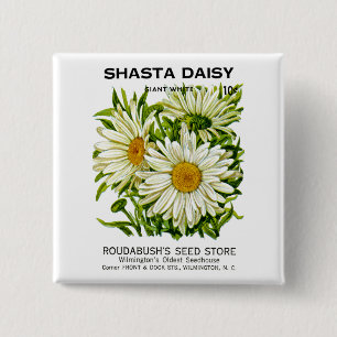 Shasta Daisy Vintage Seed Packet Button